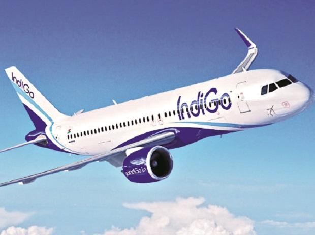 indigo belagavi