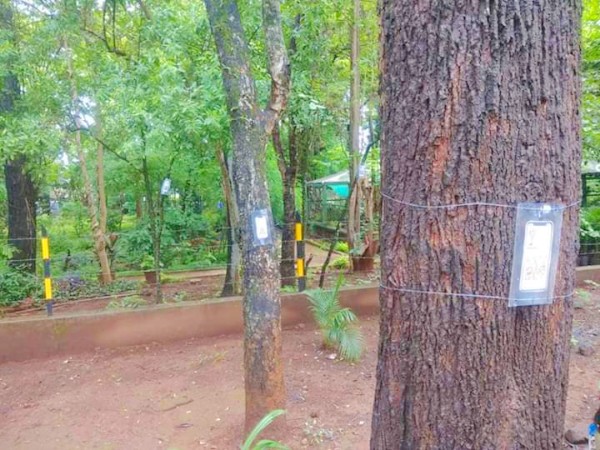 Use QR Code And Know More About The Trees Of GSS College - All About ...