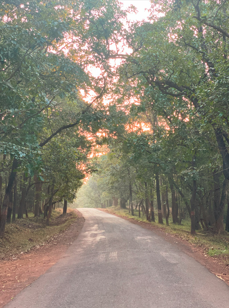 Jamboti One Way Traffic For HTV On Jamboti Khanapur Route - All About Belgaum