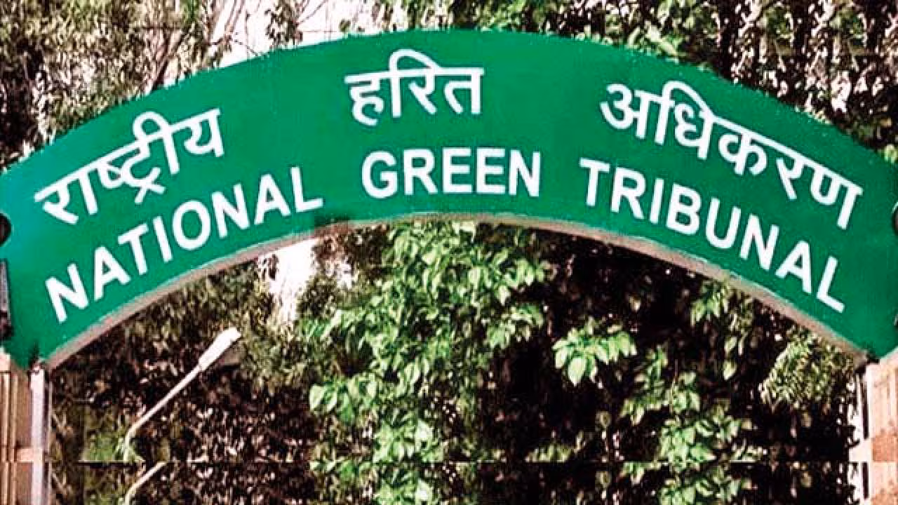 ngt