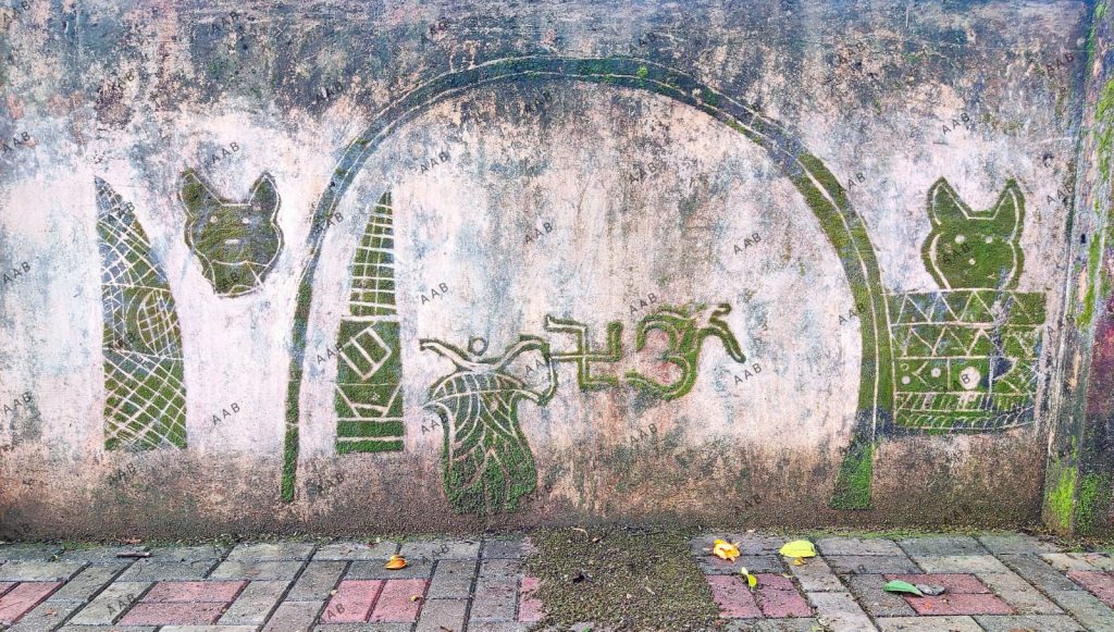 WhatsApp Image 2025 11 01 at 11.01.01 AM