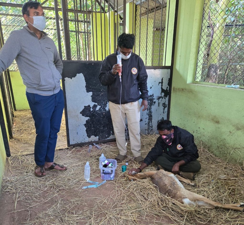 WhatsApp Image 2025 11 15 at 7.08.20 PM