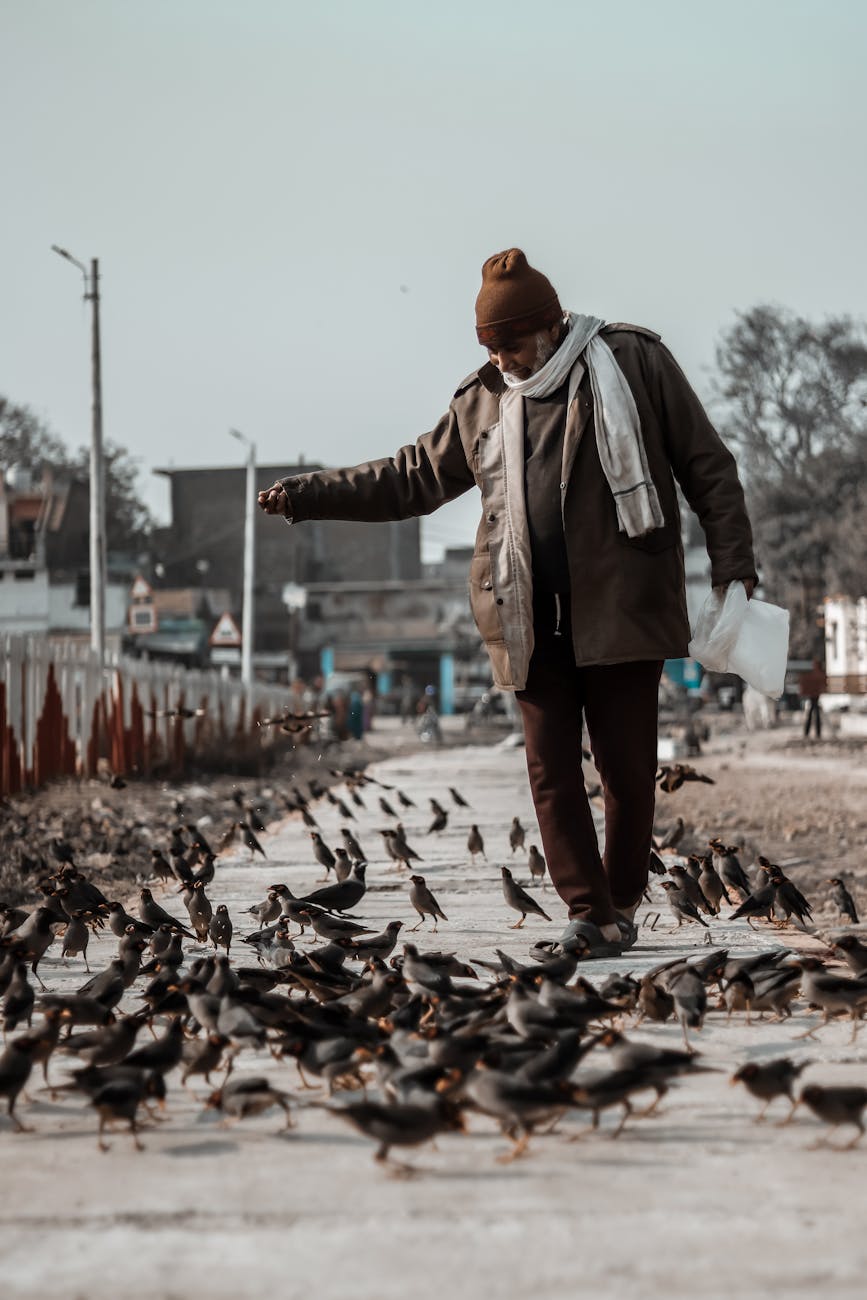 man feeding birds