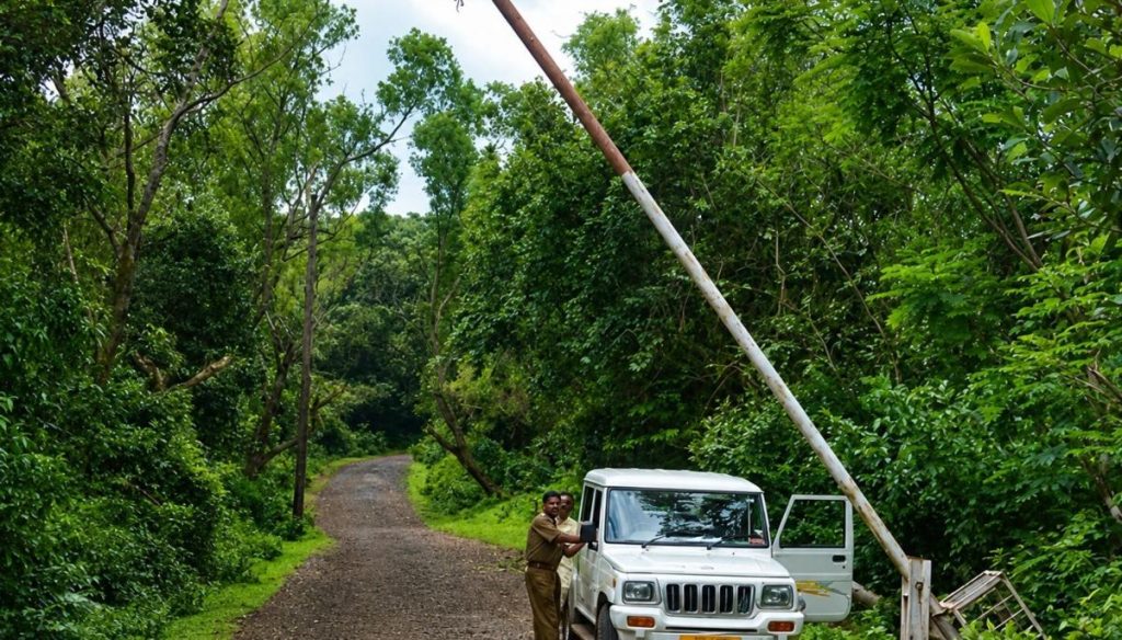 sural entry 1